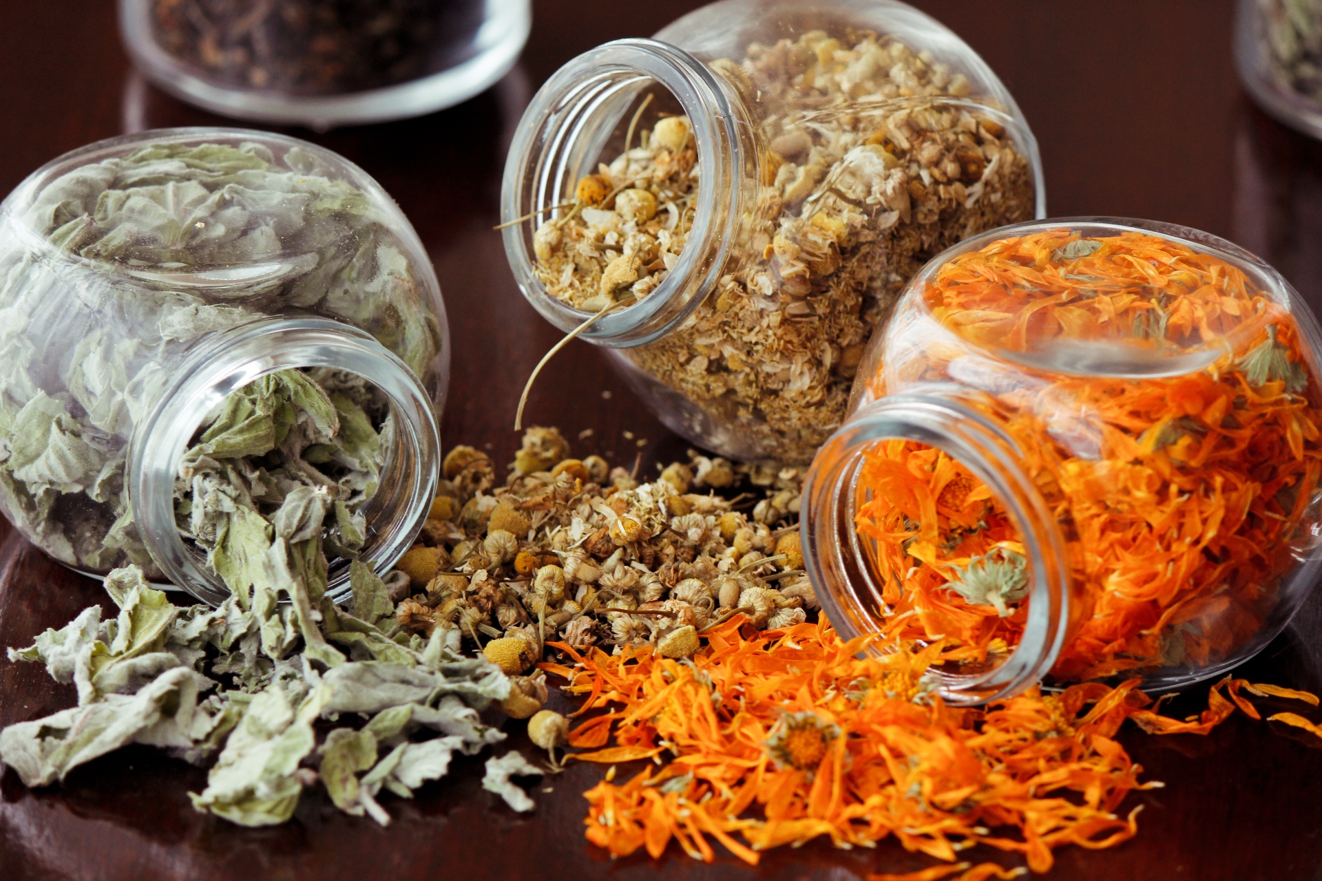 Colecție de Ierburi și Condimente Organice